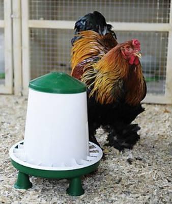 Futterautomat 3 / 6 Kg bei Siepmann.net