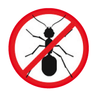 gegen Ameisen