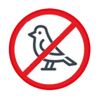 Gegen Vögel