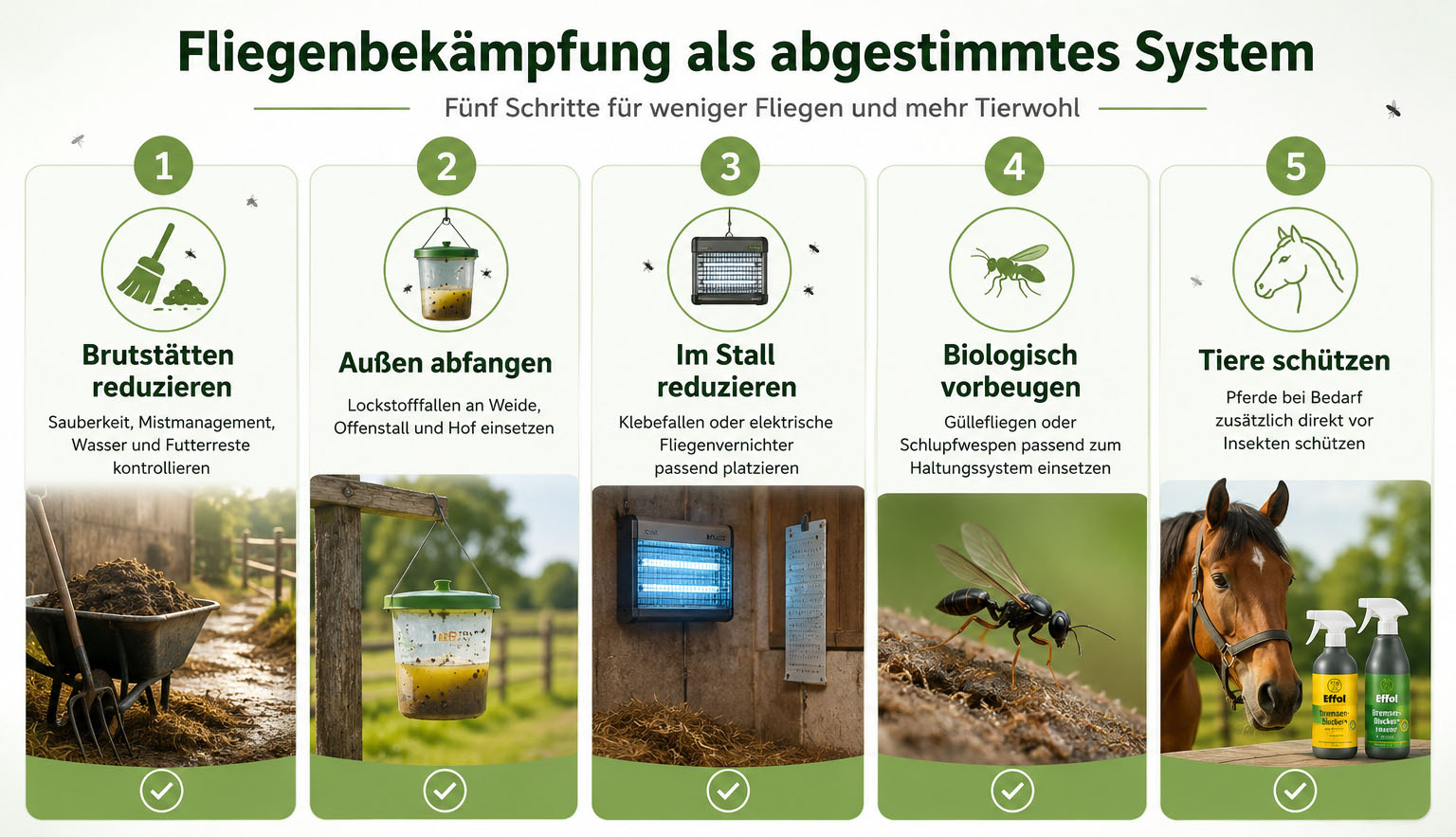 Artikel 