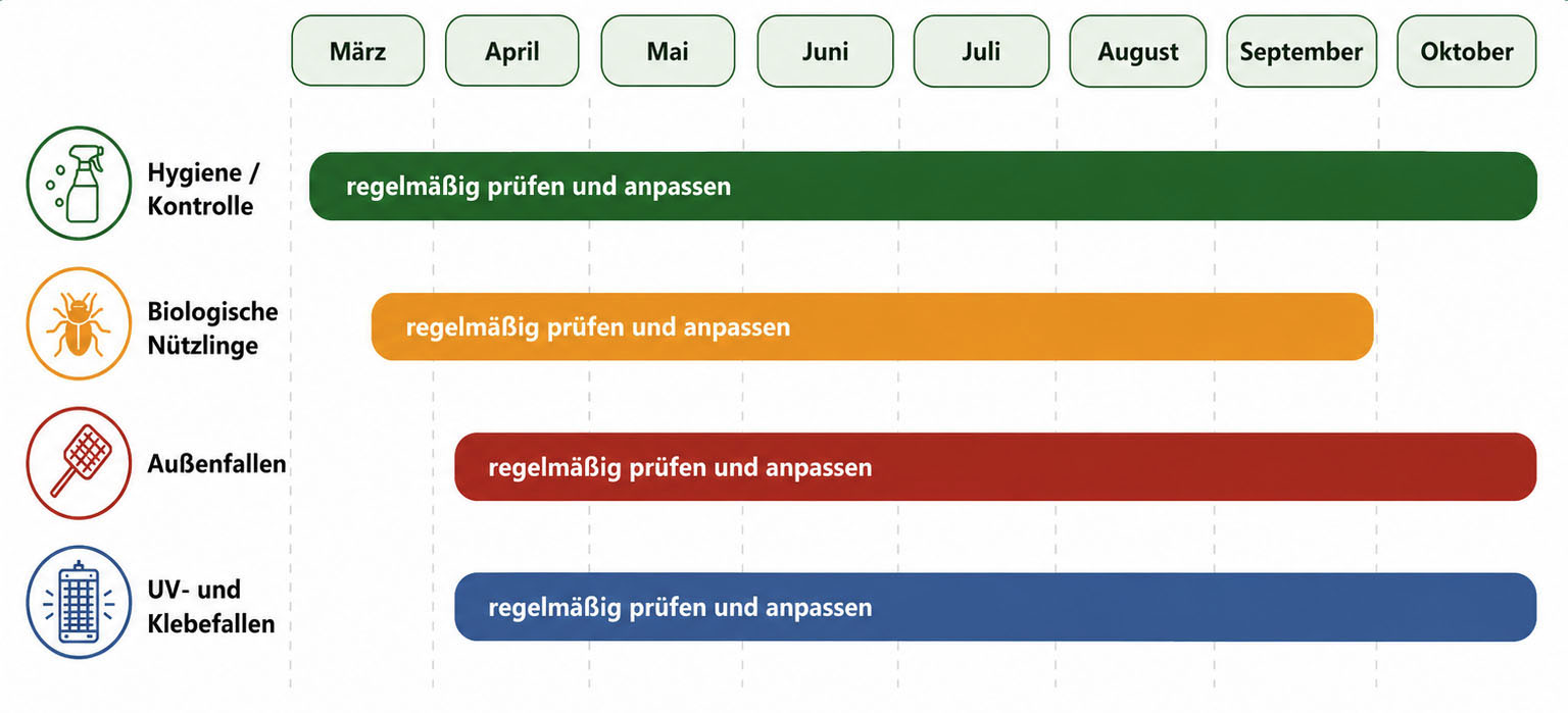 Artikel 