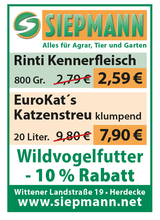 Artikel 