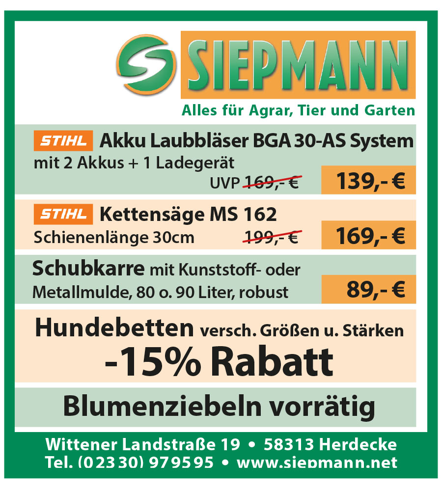 Artikel 