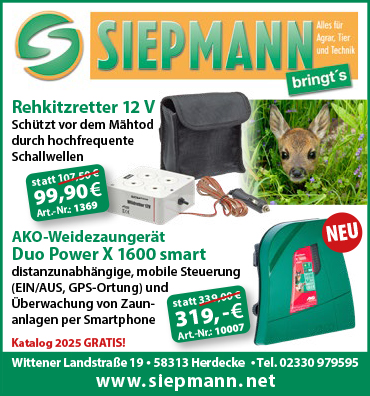 Artikel 