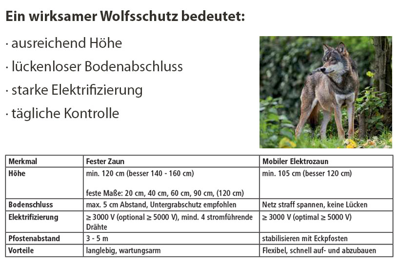 Artikel 