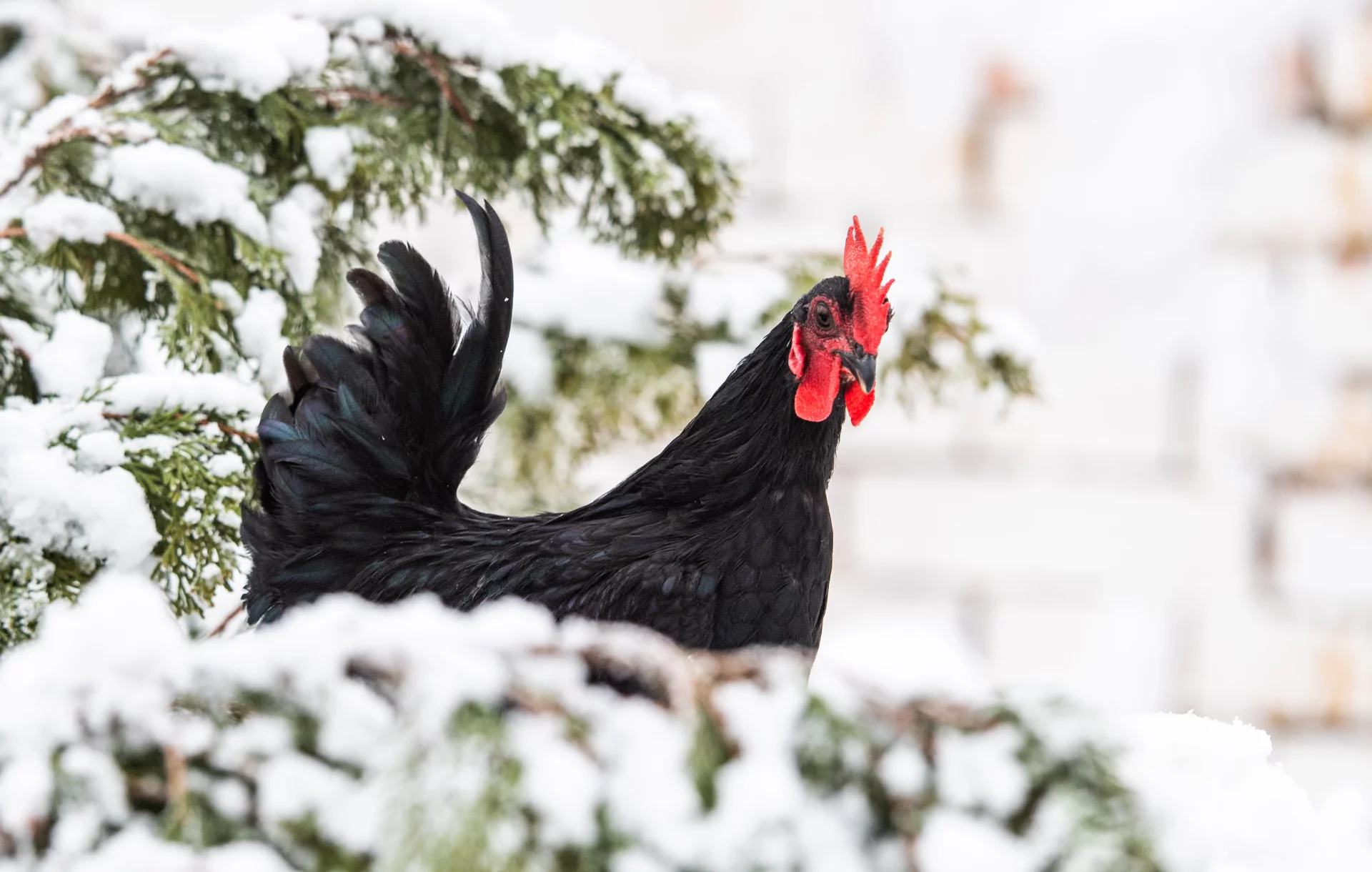adobestock 257711574