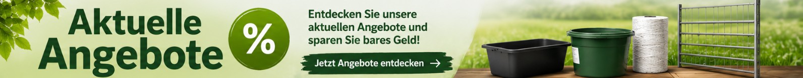 aktionen angebote