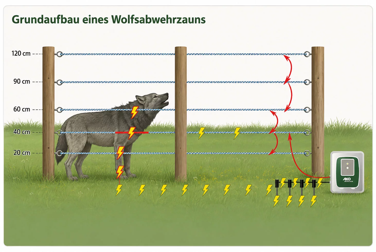 grundaufbau wolfabwehrzaun grafik
