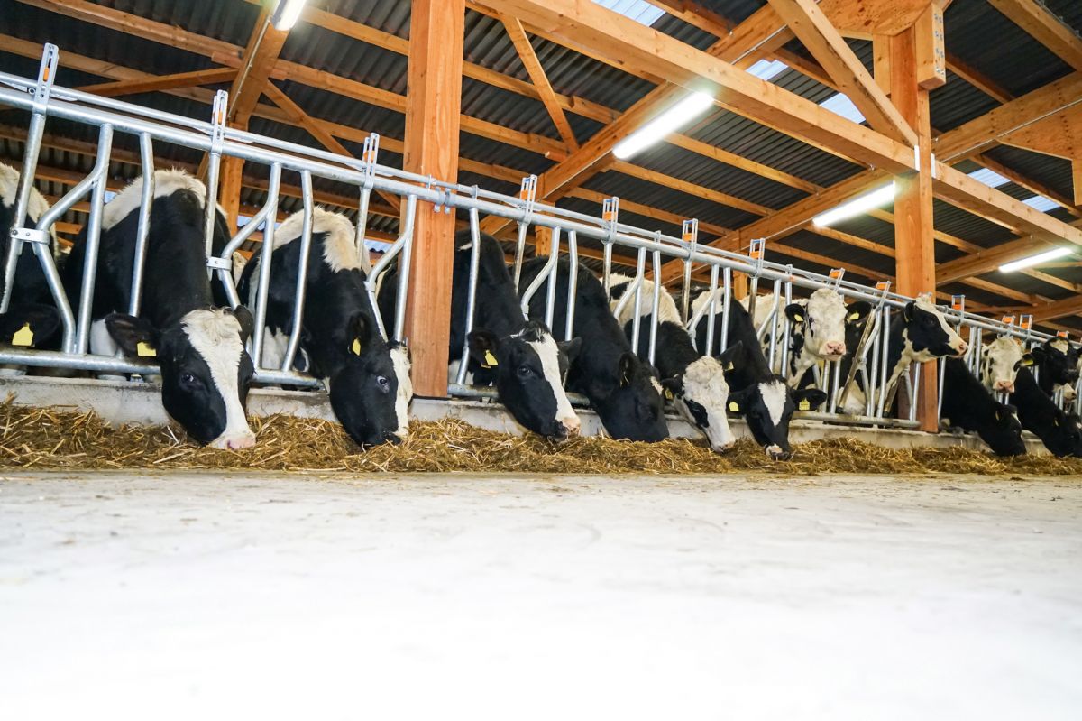 led feuchtraumleuchte farm star 4