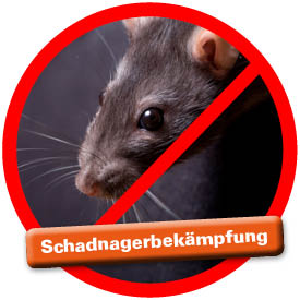 Ratten- und Mäusebekämpfung bei siepmann.net