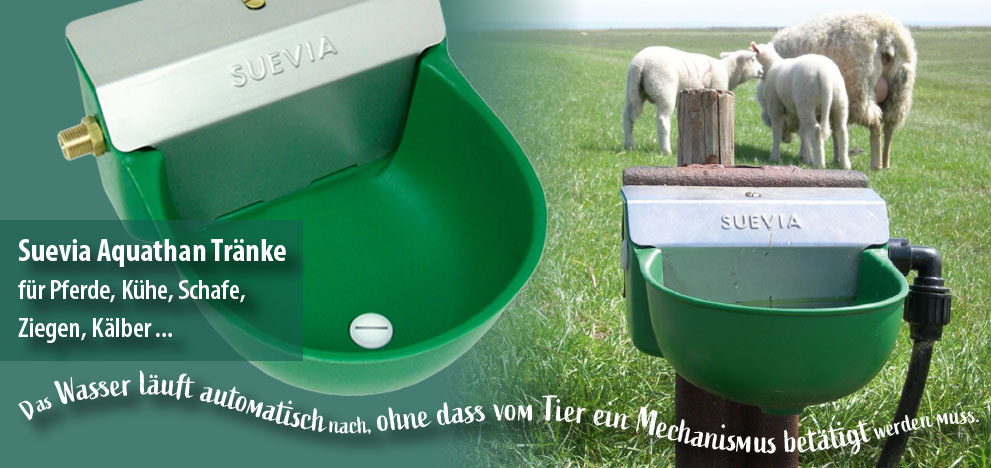 Suevia Aquathan Tränke für kontinuierliche Wasserbereitstellung