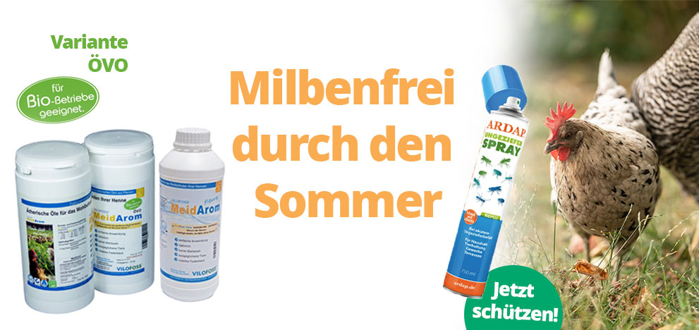 Stallhygiene beginnt mit der richtigen Milbenbekämpfung