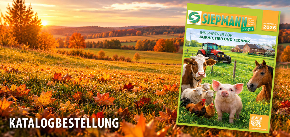 Katalog 2026 | Ihr Sortiment auf über 420 Seiten