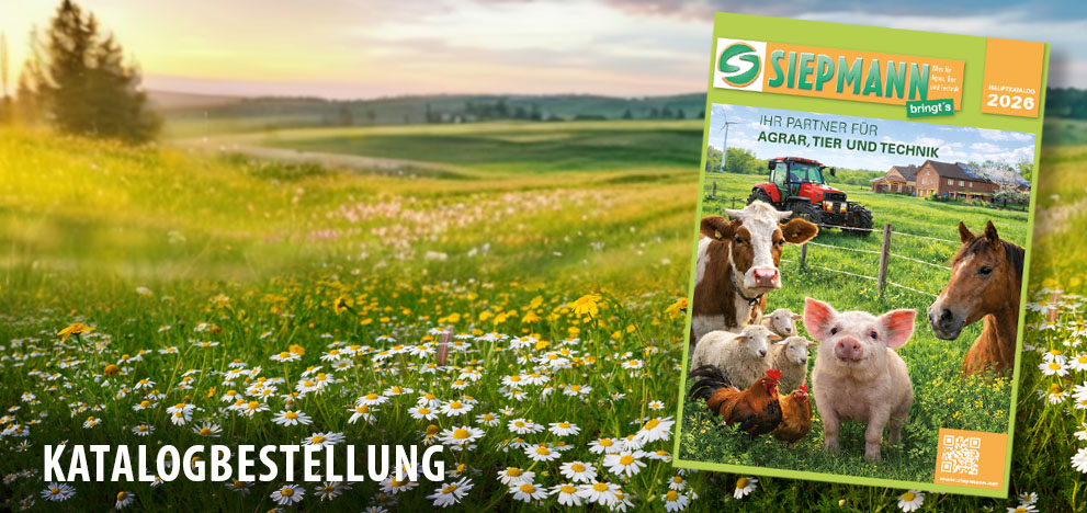 Katalog 2026 – ab Anfang März | über 420 Seiten