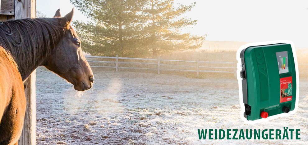 Grundlage für eine tierschutzgerechte und sichere Weidehaltung