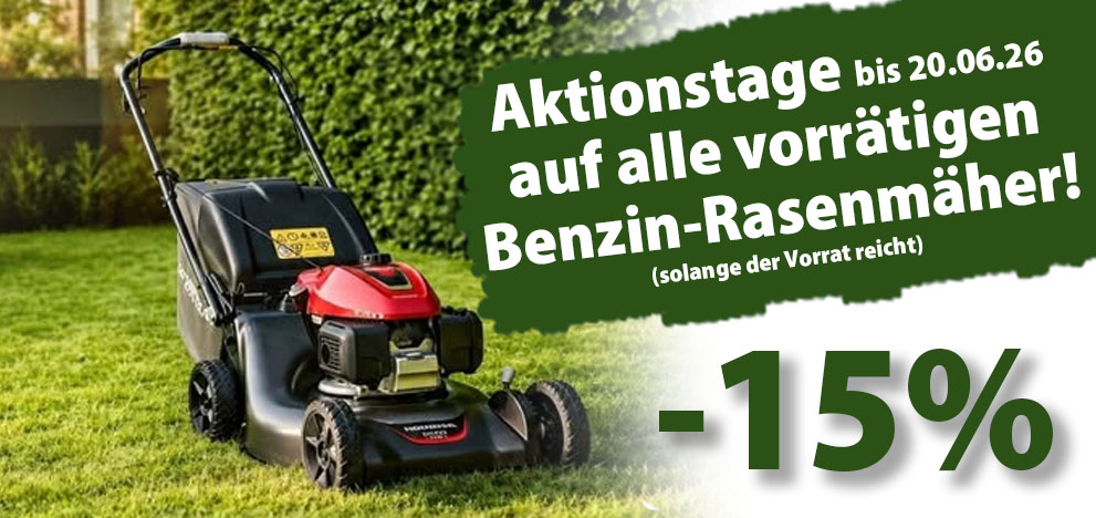 Auf alle Benzin-Rasenmäher -15%