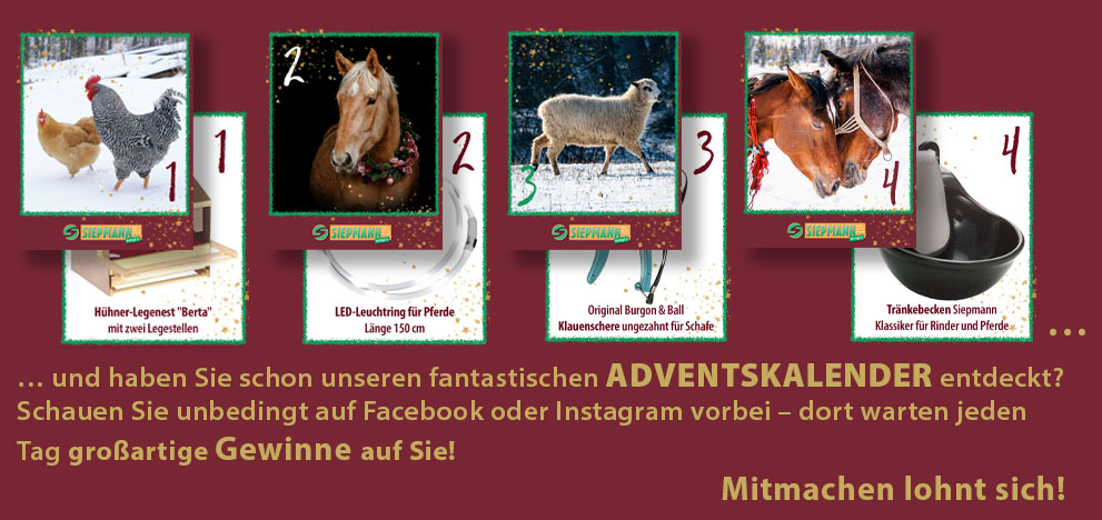 Viele großartige Gewinne warten auf Sie in unserem ADVENTSKALENDER