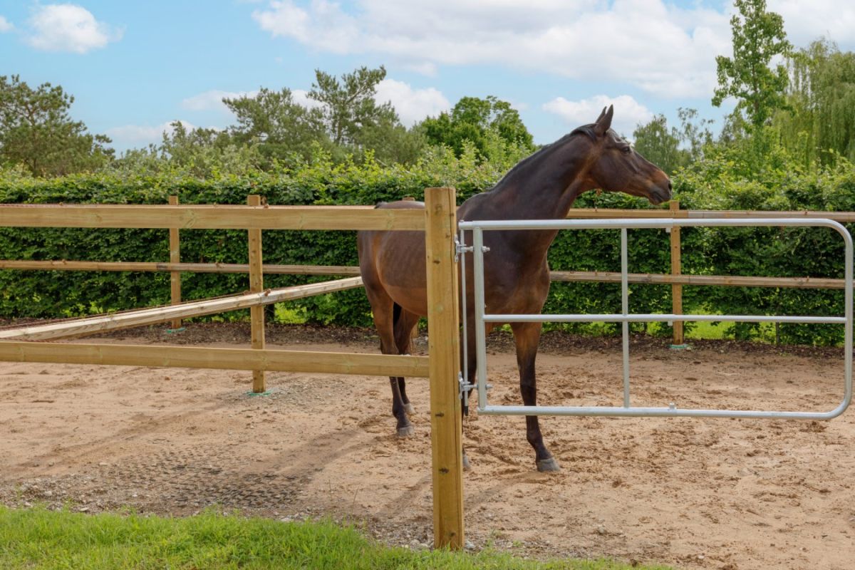 Weidetor verstellbar 1 - 1,70 m Pferd