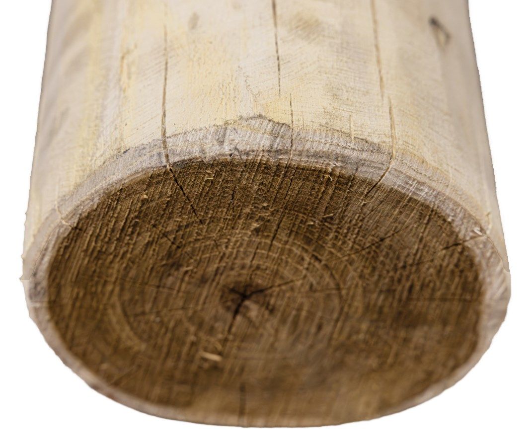 Robinienpfahl 250 cm