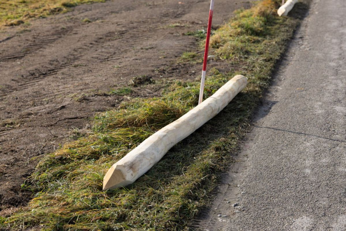 Robinienpfahl 250 cm