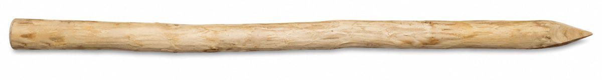 Robinienpfahl 250 cm
