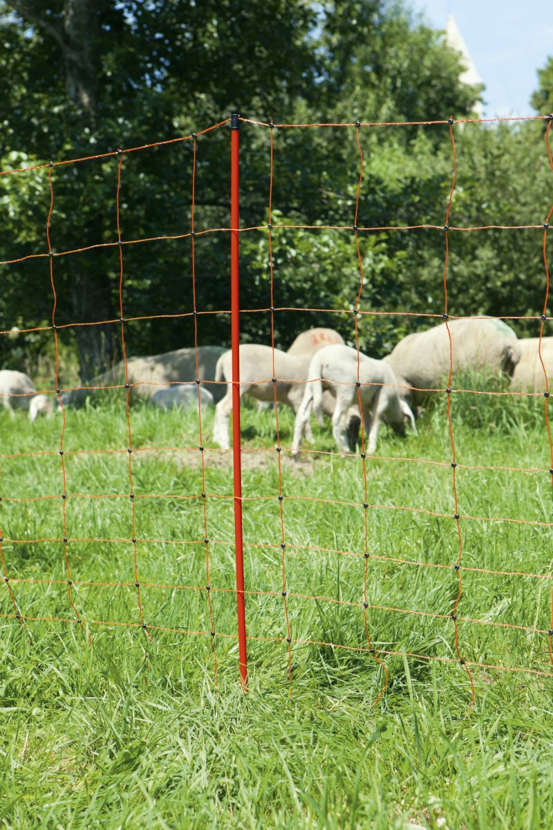 OviNet Schafhütenetz