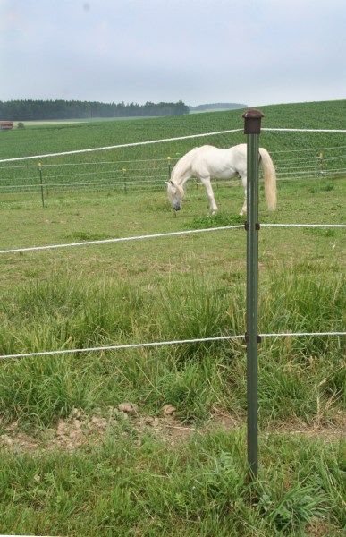 T-Post Pfähle für Pferdeweide