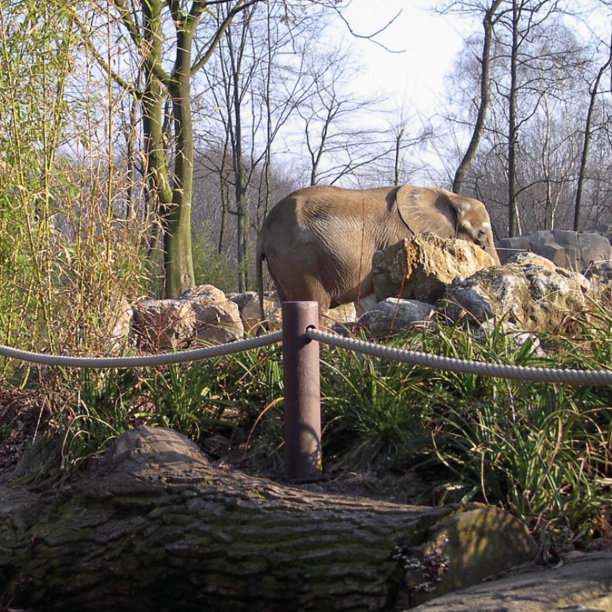 Kunststoffpfahl rund 10cm Ø