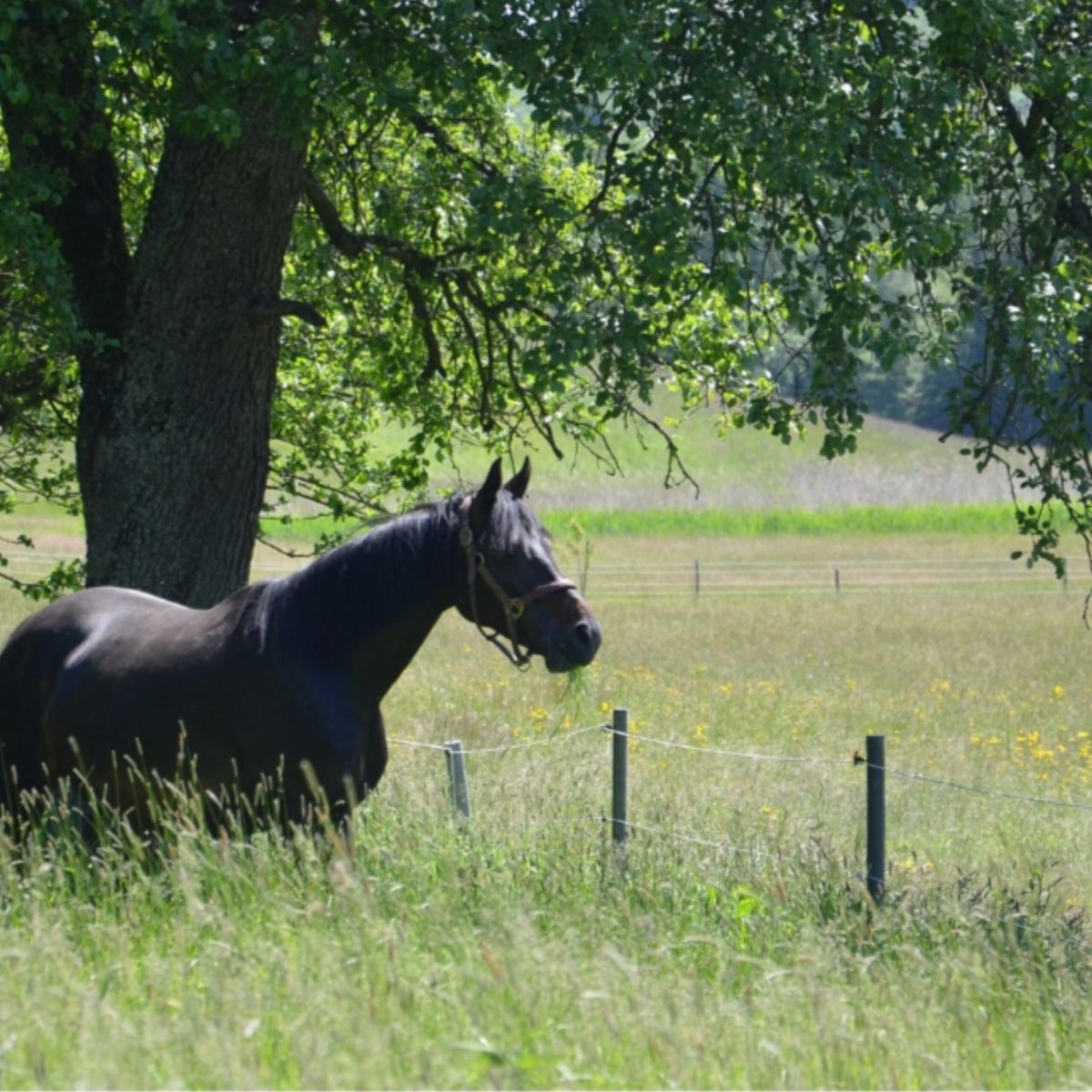 Kunststoffpfahl rund 10cm Ø