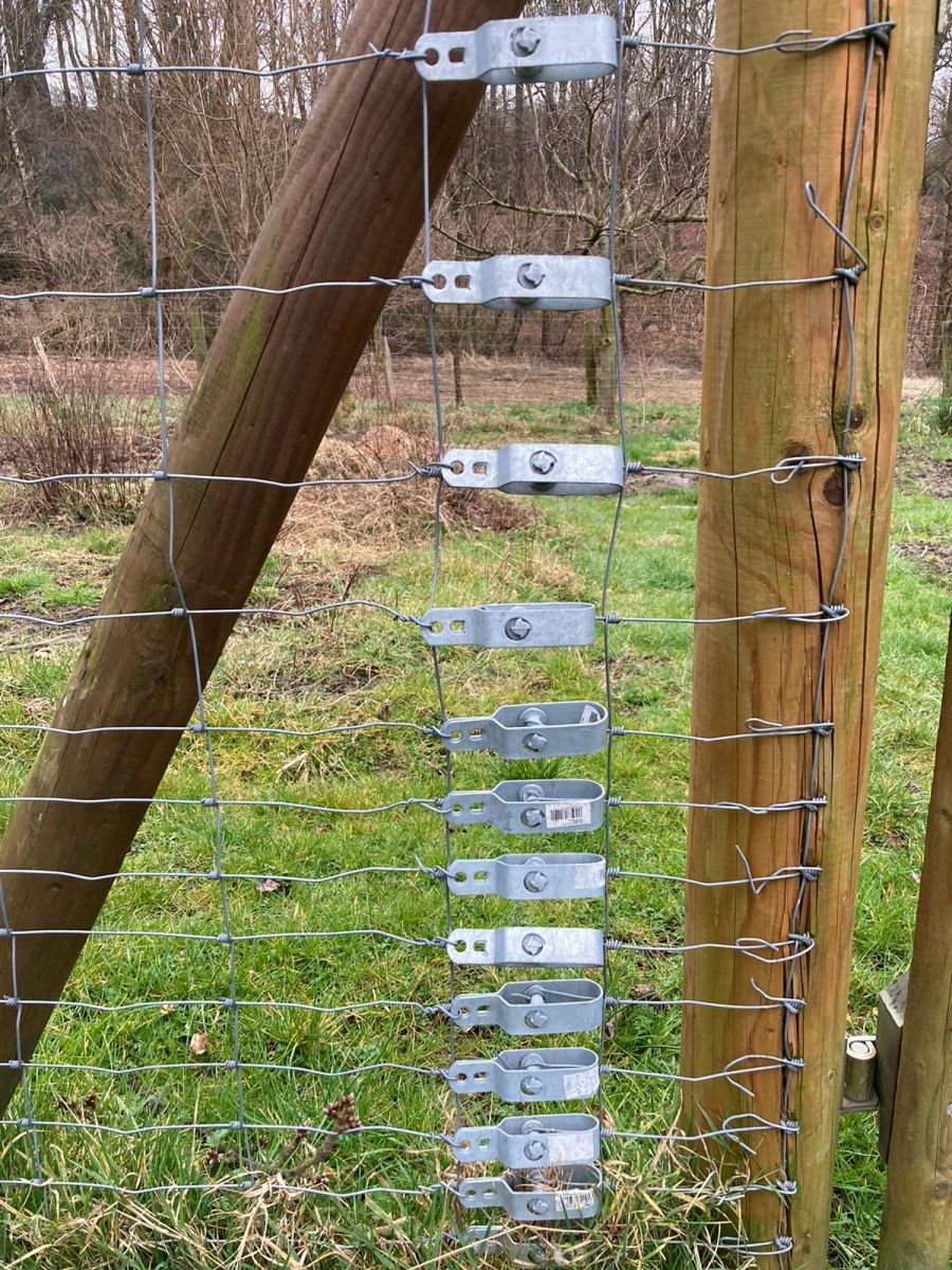 Drahtspanner am Knotengefelcht