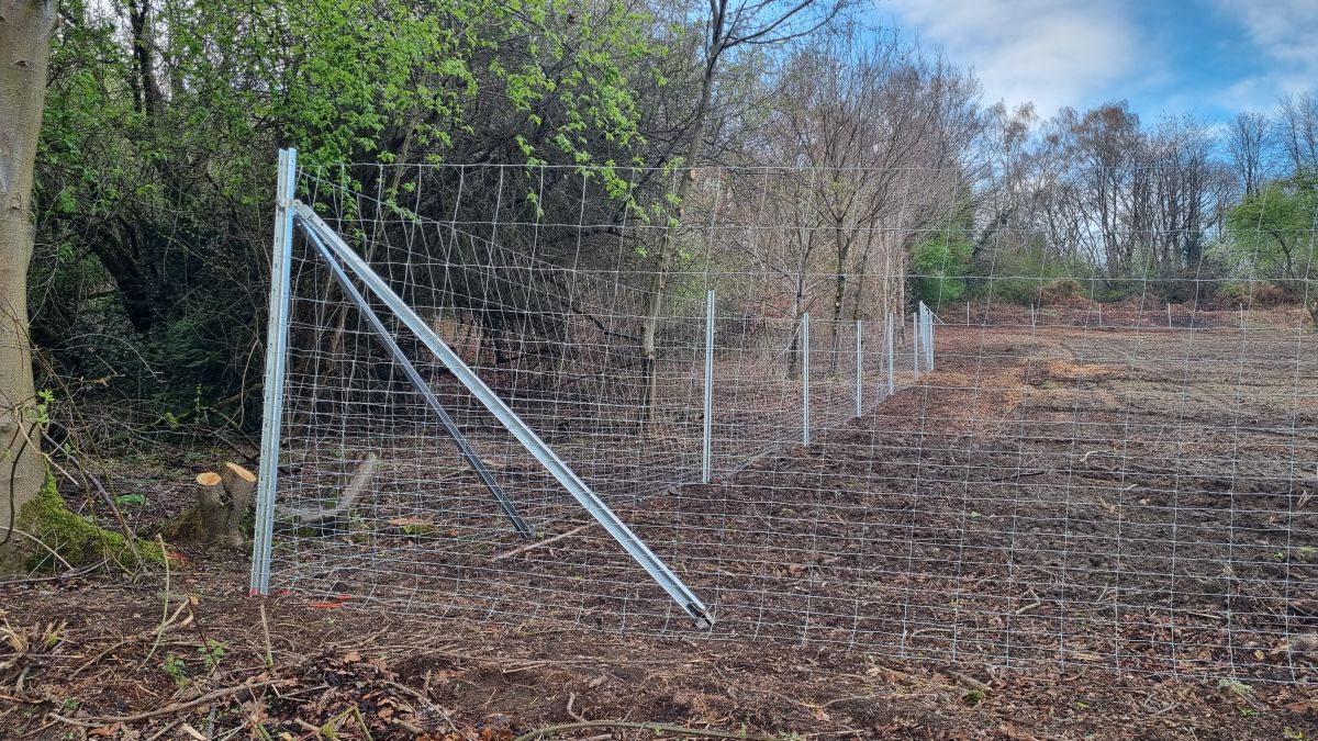 Z-Profil Stahlpfahl für Knotengeflecht