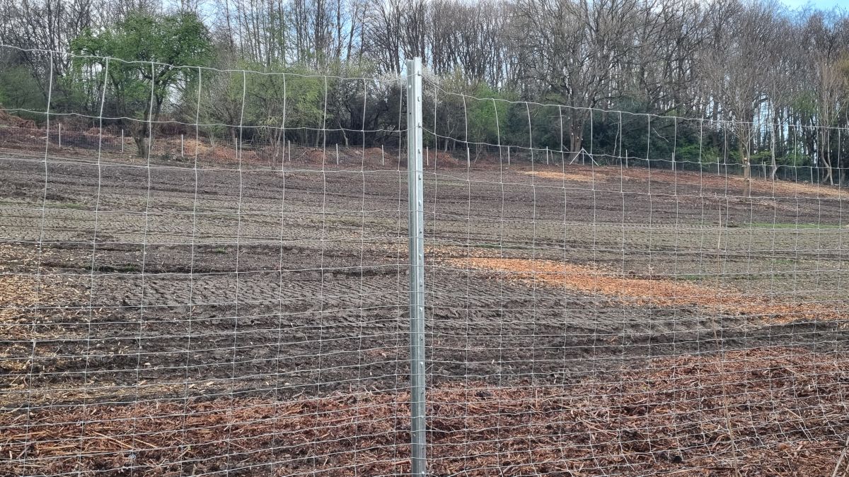 Z-Profil Stahlpfahl für Knotengeflecht