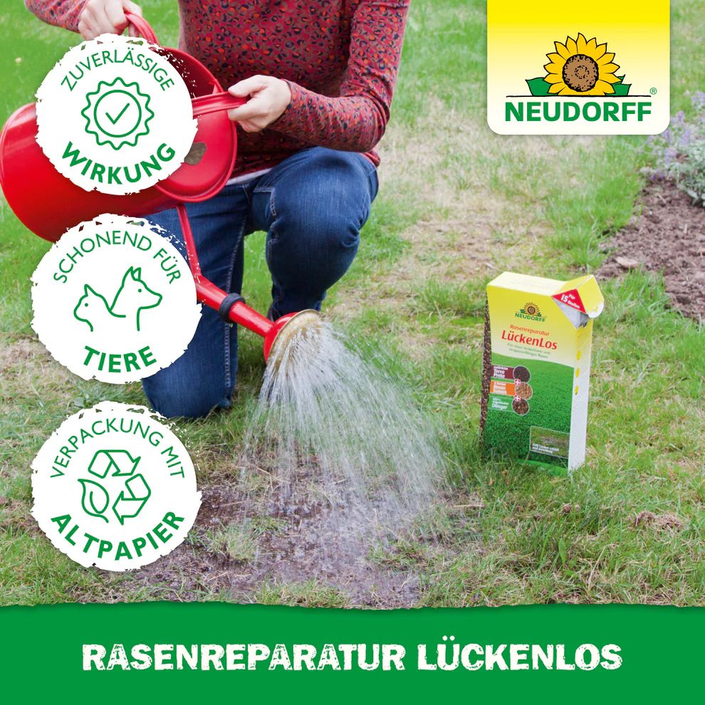 Rasenreparatur Mischung Lückenlos