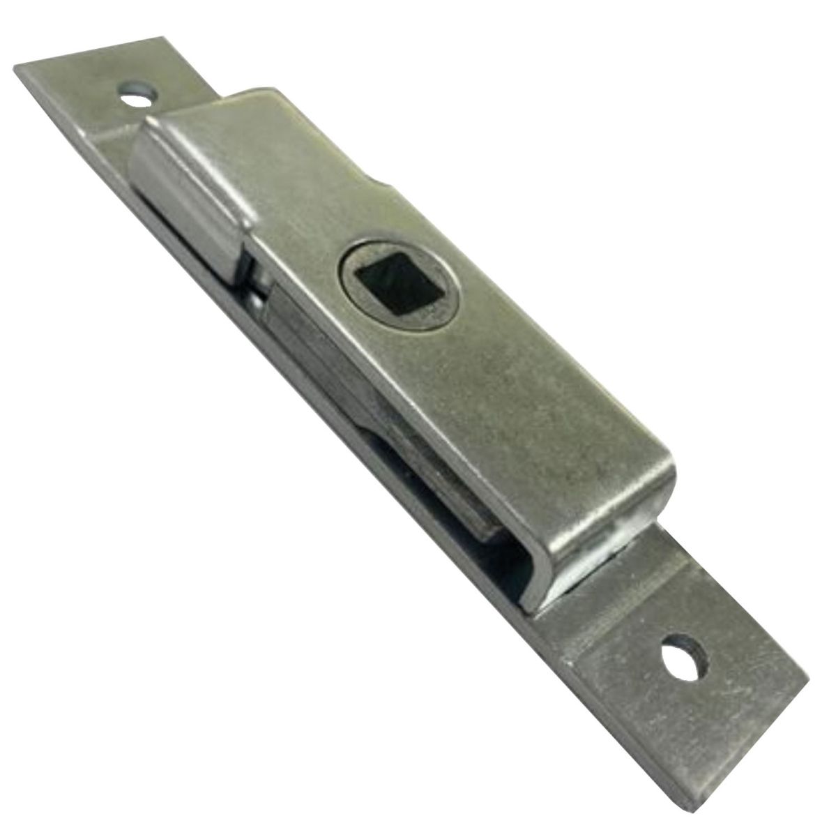 Zungenschloß Vorderseite