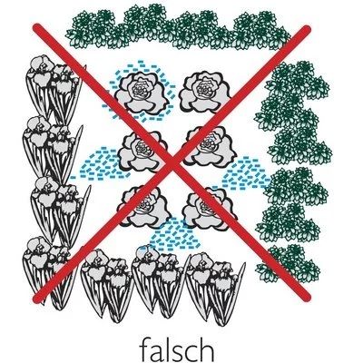 Ferramol Schneckenkorn