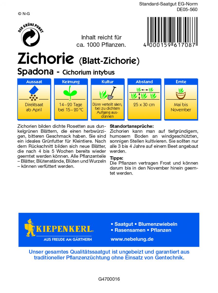 Zichorie 30 g