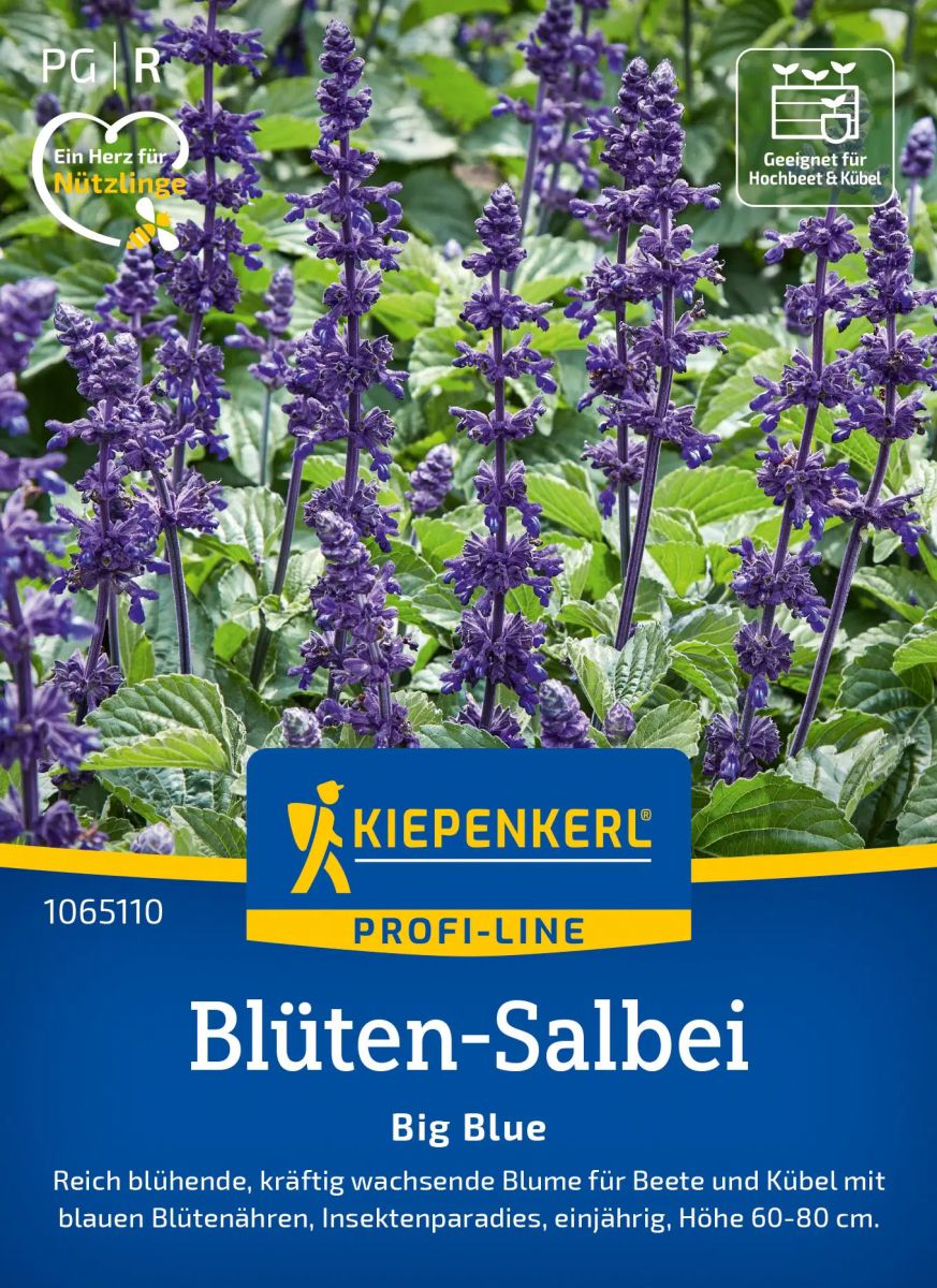 Salbeisaatgut Salvia Big Blue
