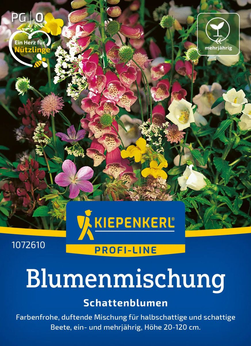Schattenblumen Mischung