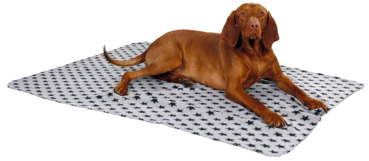 Hundedecke Stella