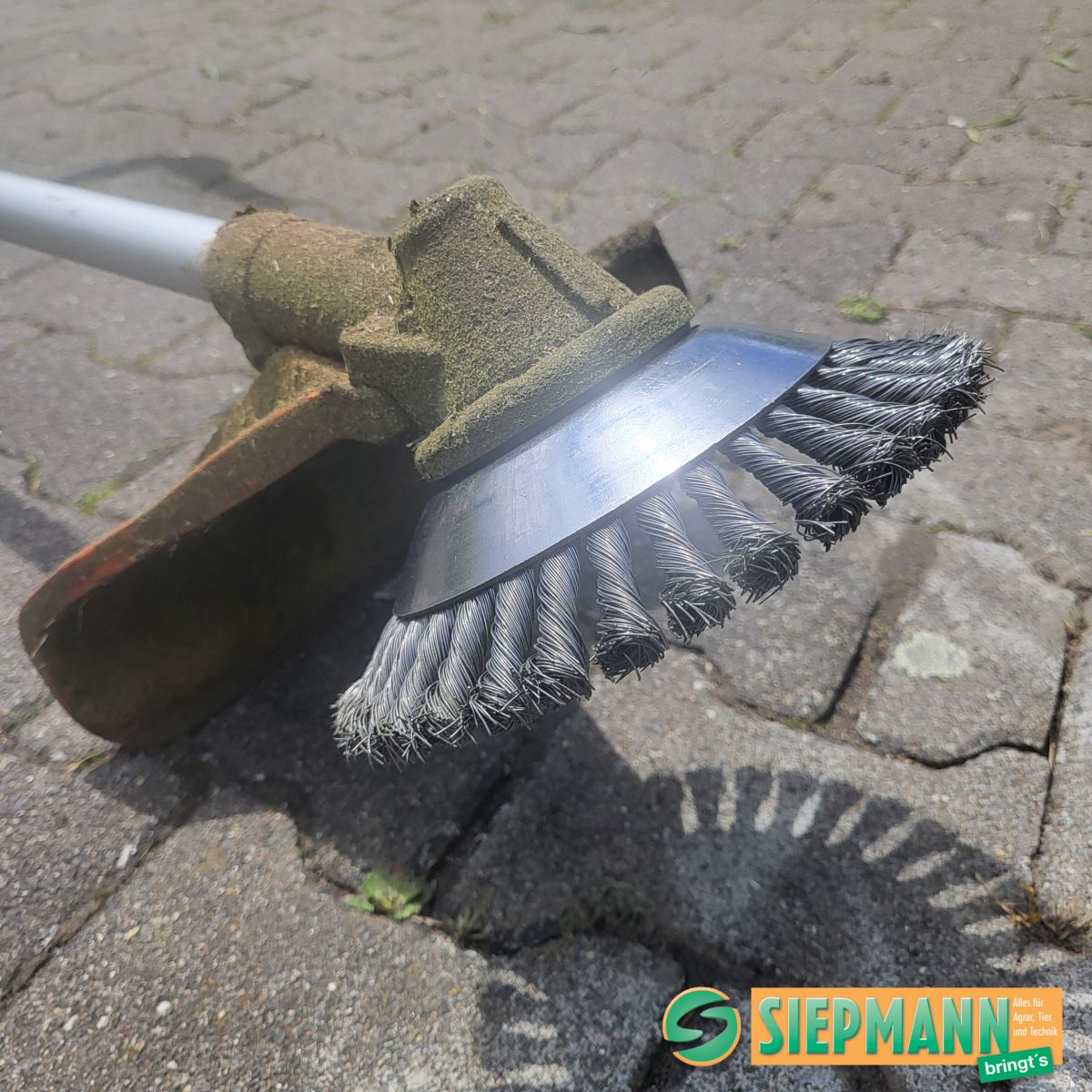 Anwendung Kegelbürste