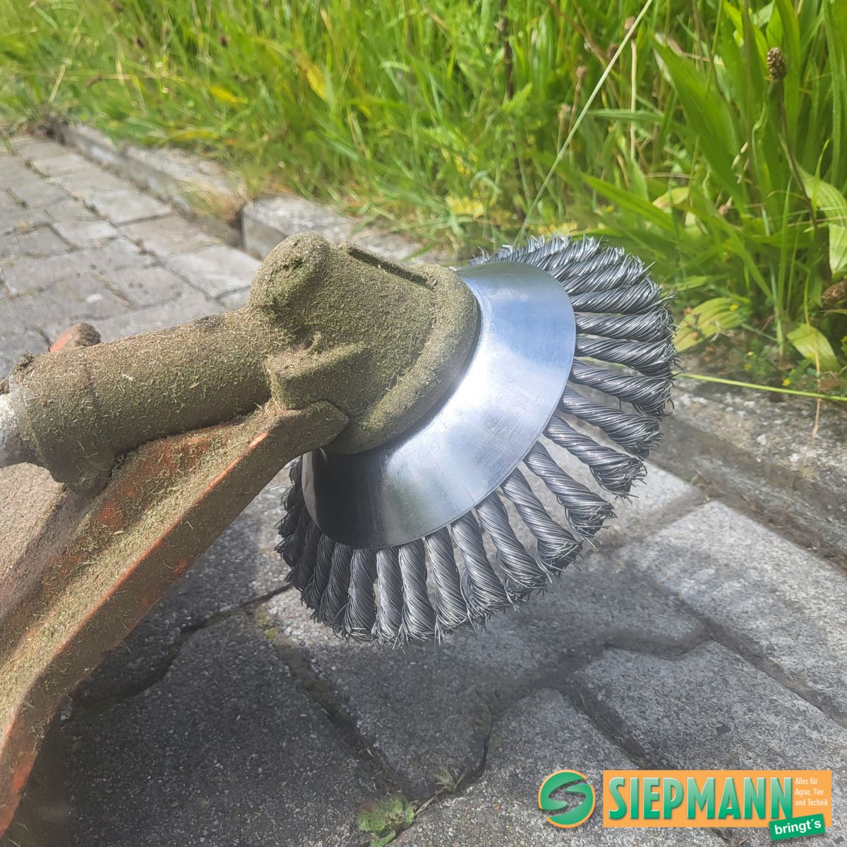 Anwendung 4 Kegelbürste nach der Benutzung