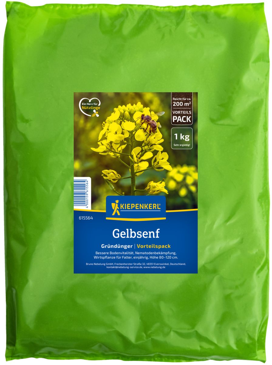 Gelbsenf 1 kg von Kiepenkerl