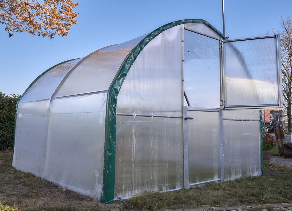 Foliengewächshaus GBO 290 mit geöffneter und geteilter Tür