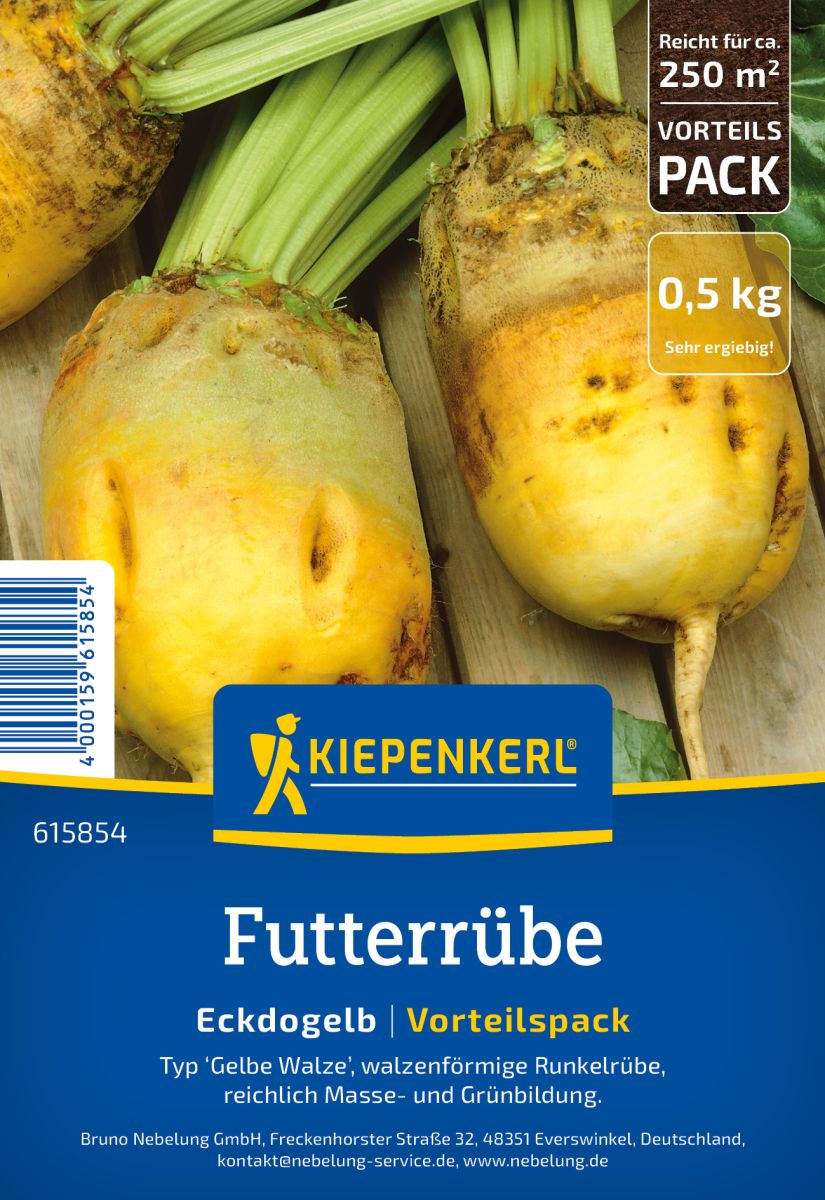 Futterrüben Eckdogelb