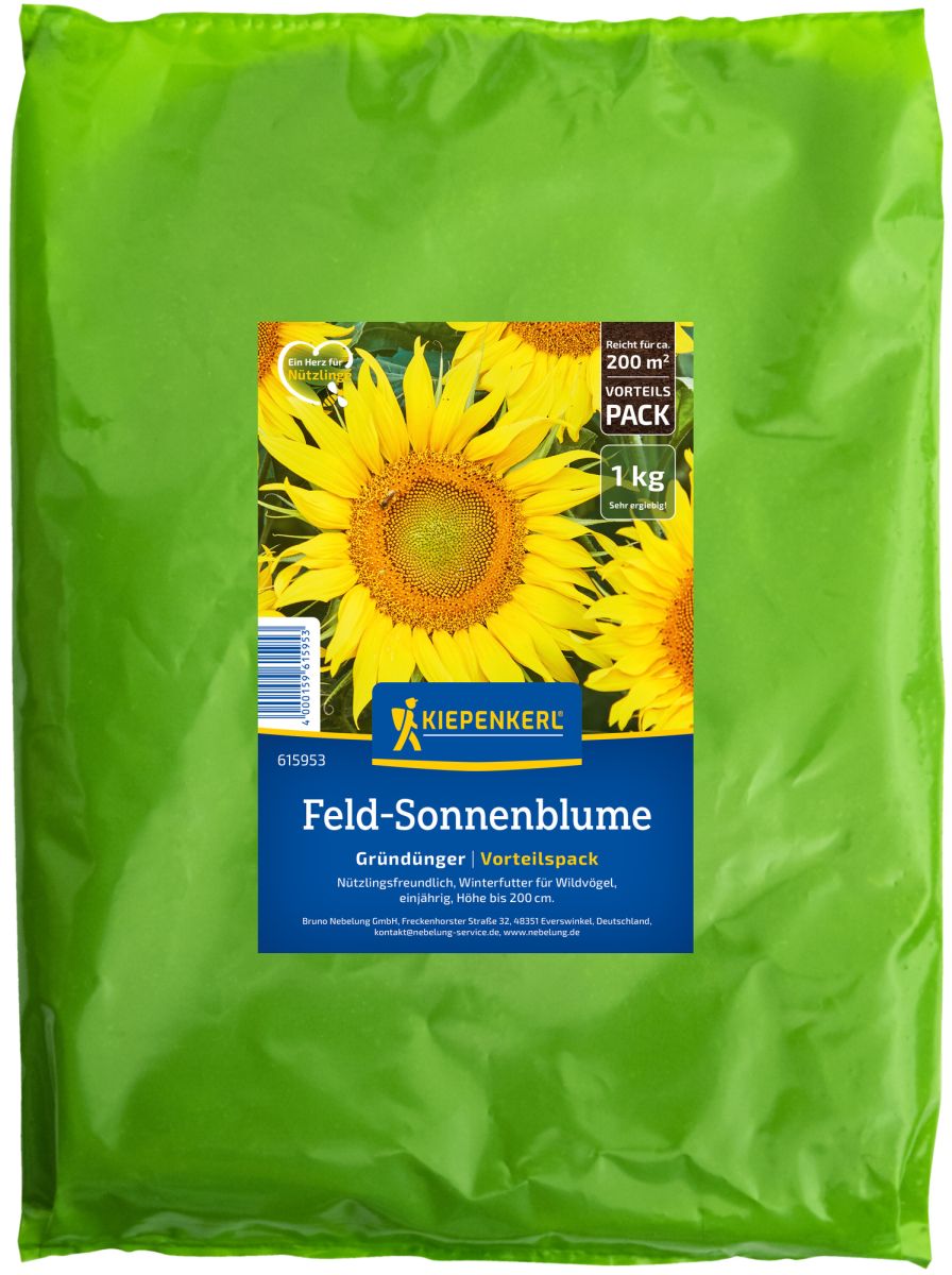 Feld-Sonnenblume von Kiepenkerl