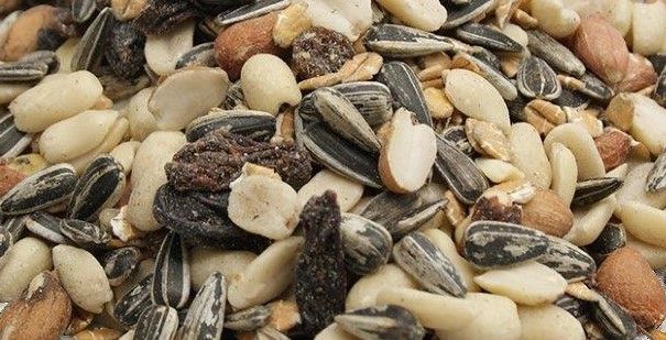 Wildvogelfuttermix 3 kg