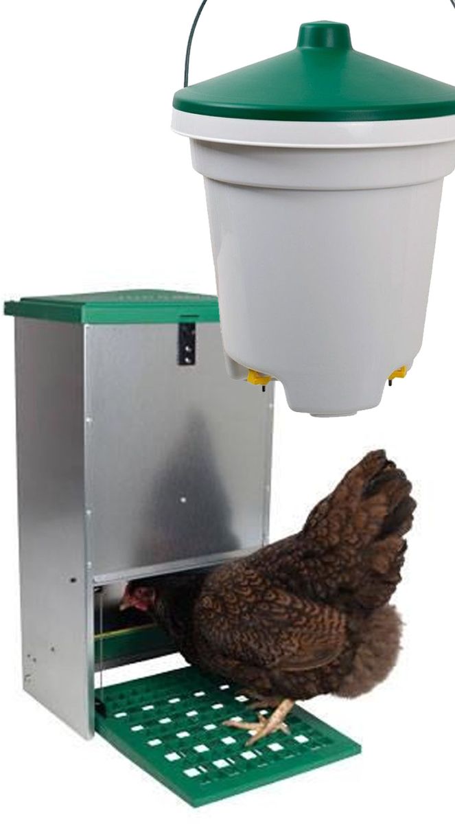 Sparset Hühnerfutterautomat und Nippeltränke