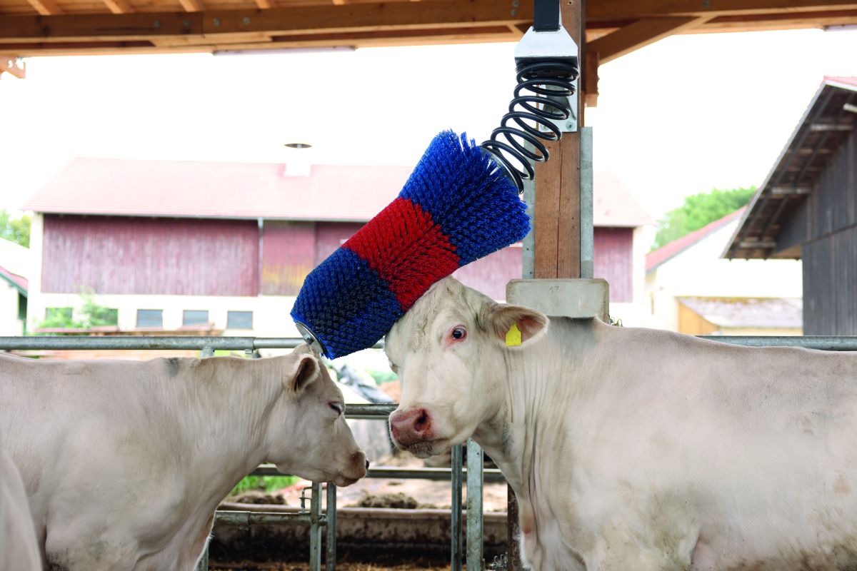 Kratzbürste HAPPYCOW FlexiSwing