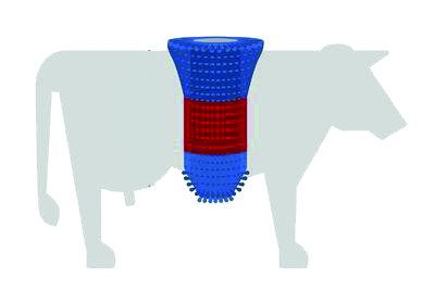 Kratzbürste HAPPYCOW FlexiSwing