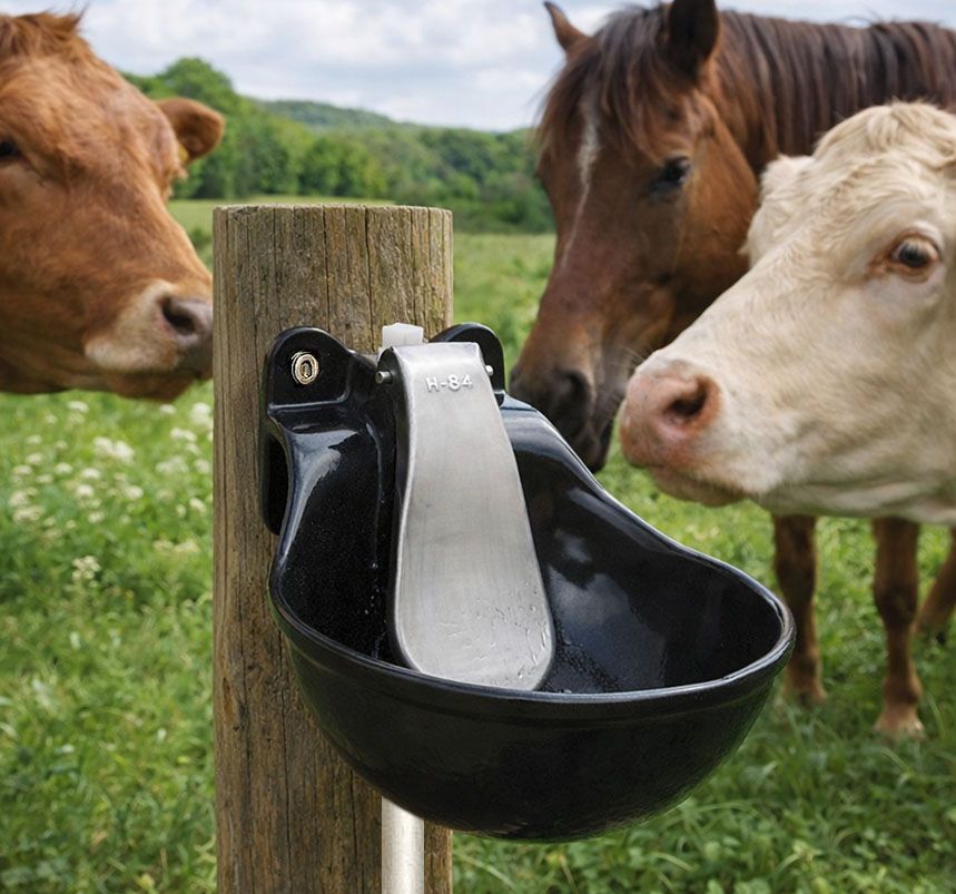 Tränkebecken aus Guss für Rinder und Pferde